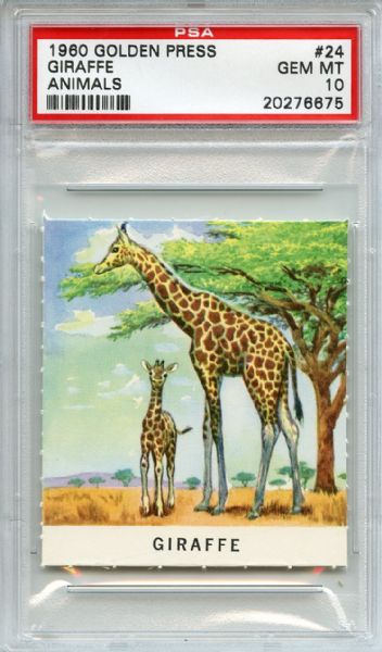 1960 Golden Press Animals 24 Giraffe PSA GEM MT 10