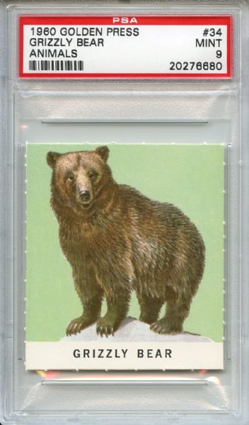 1960 Golden Press Animals 34 Grizzly Bear PSA MINT 9