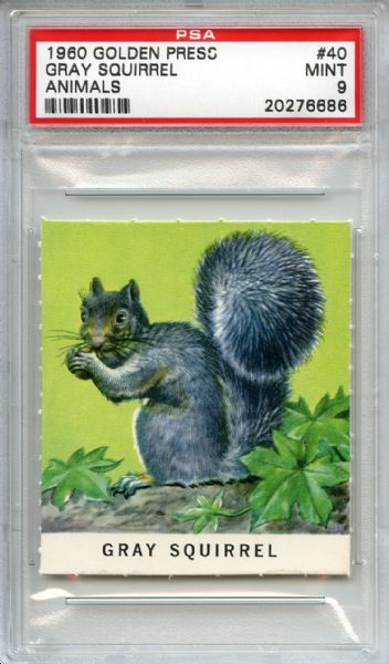 1960 Golden Press Animals 40 Gray Squirrel PSA MINT 9