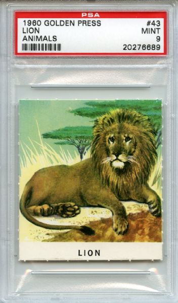 1960 Golden Press Animals 43 Lion PSA MINT 9