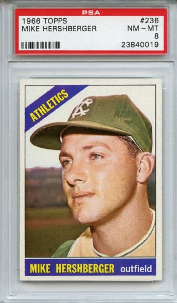 1966 Topps 236 Mike Hershberger PSA NM-MT 8