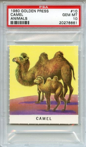 1960 Golden Press Animals 10 Camel PSA GEM MT 10
