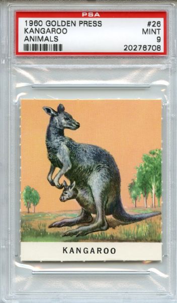 1960 Golden Press Animals 26 Kangaroo PSA MINT 9