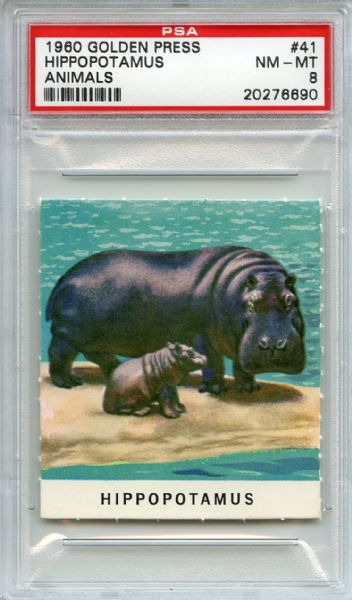 1960 Golden Press Animals 41 Hippopotamus PSA NM-MT 8