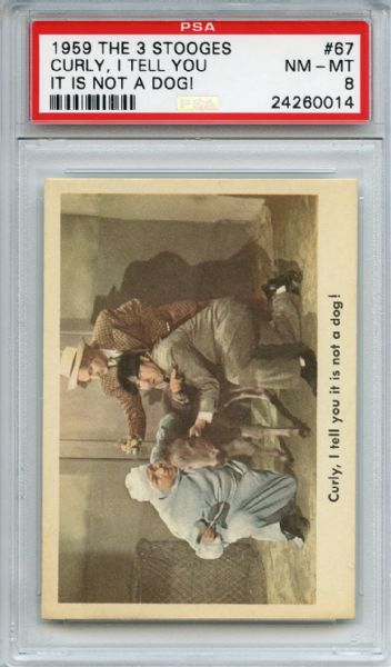1959 Fleer The 3 Stooges 67 Curly, I Tell You PSA NM-MT 8