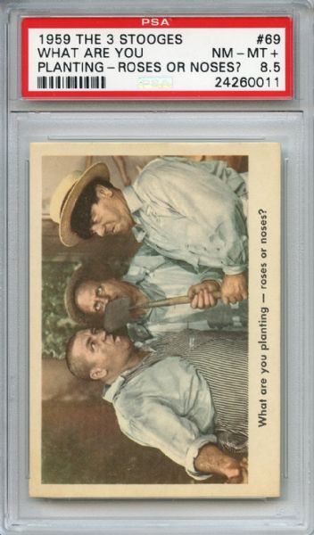 1959 Fleer The 3 Stooges 69 What are You Planting PSA NM-MT+ 8.5