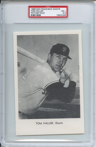 1966 SAN FRANCISCO GIANTS PICTURE PACK TOM HALLER PICTURE PACK PSA EX+ 5.5