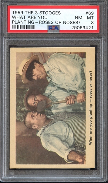 1959 THE 3 STOOGES 69 WHAT ARE YOU PLANTING-ROSES OR NOSES? PSA NM-MT 8
