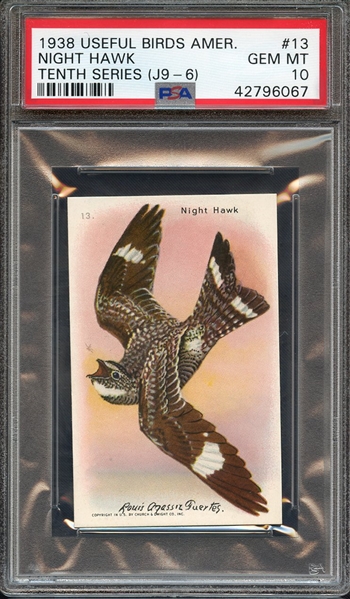 1938 CHURCH & DWIGHT COMPANY USEFUL BIRDS OF AMERICA TENTH SERIES (J9-6) 13 NIGHT HAWK PSA GEM MT 10