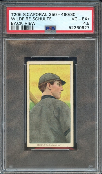 1909-11 T206 SWEET CAPORAL 350-460/30 WILDFIRE SCHULTE BACK VIEW PSA VG-EX+ 4.5