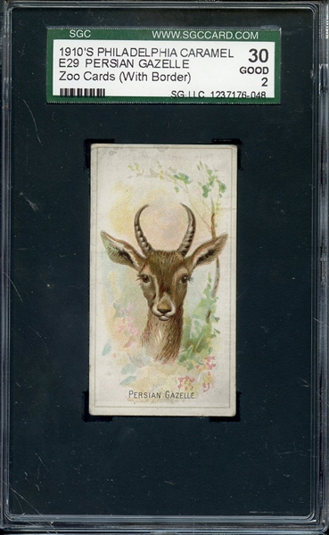 1911 E29 PHILADELPHIA CARAMEL PERSIAN GAZELLE SGC GOOD 30 / 2