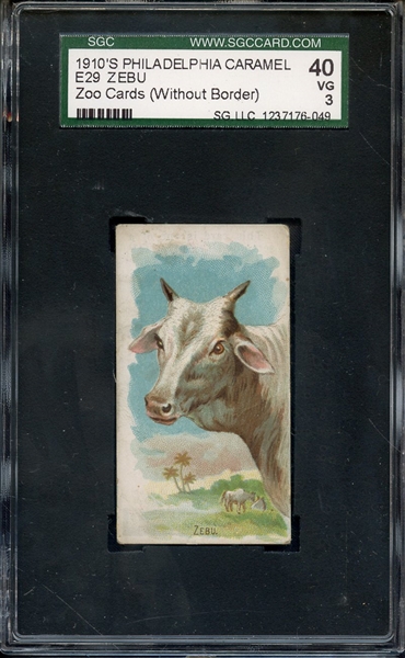 1911 E29 PHILADELPHIA CARAMEL ZEBU SGC VG 40 / 3