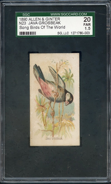 1890 ALLEN & GINTER N23 JAVA GROSBEAK SONG BIRDS OF THE WORLD SGC FAIR 20 / 1.5