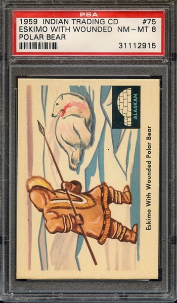 1959 INDIAN TRADING CARD 75 ESKIMO WITH WOUNDED POLAR BEAR PSA NM-MT 8