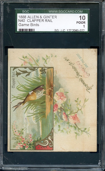 1888 ALLEN & GINTER N4 GAME BIRDS CLAPPER RAIL SGC POOR 10 / 1