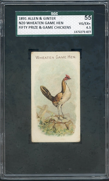 1891 ALLEN & GINTER N20 FIFTY PRIZE & GAME CHICKENS WHEATEN GAME HEN SGC VG/EX+ 55 / 4.5